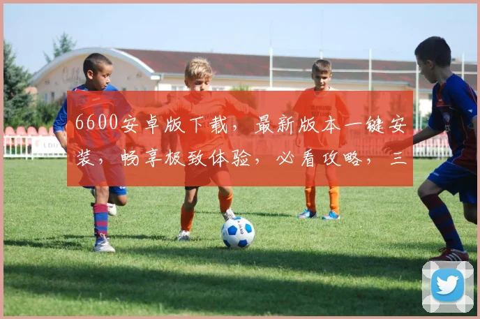 6600安卓版下载，最新版本一键安装，畅享极致体验，必看攻略，三步轻松完成