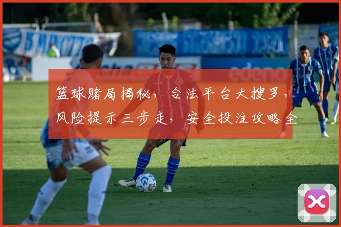 篮球赌局揭秘，合法平台大搜罗，风险提示三步走，安全投注攻略全解析，必看