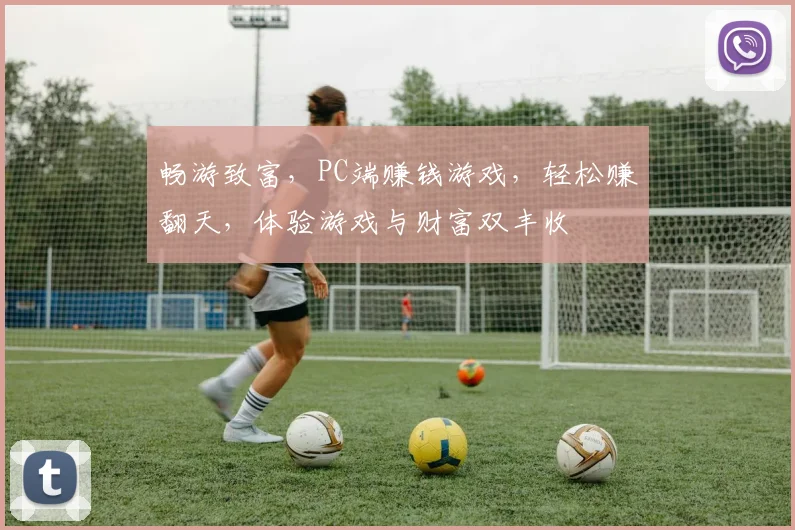 畅游致富，PC端赚钱游戏，轻松赚翻天，体验游戏与财富双丰收