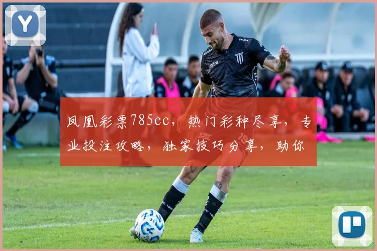 凤凰彩票785cc，热门彩种尽享，专业投注攻略，独家技巧分享，助你轻松中奖