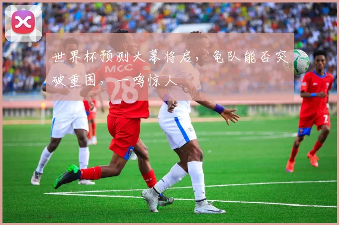 世界杯预测大幕将启，龟队能否突破重围，一鸣惊人